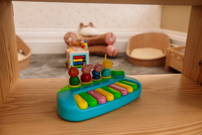 Toys at Leafield House Nursery